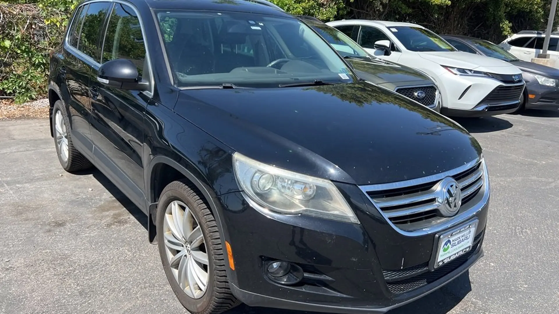 2010 Volkswagen Tiguan SE.